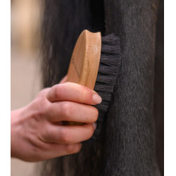 Pferdebürste Waldhausen Exclusive Line Stopfen – Equi-Clic