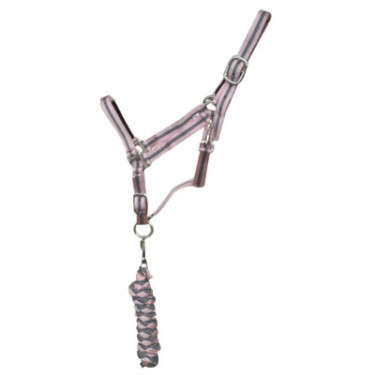 Synthetisches Halfter mit Futter + Amerikanischer geflochtener Führstrick T de T Grau / Rosa
