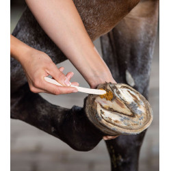 KERALIT Undercover Hufpflegepaste – Reitsport KERALIT Undercover Hufpflegepaste – Reitsport