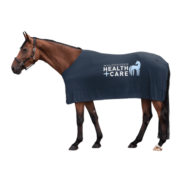 Kühldecke fürs Pferd – Waldhausen Ice Layer | Equitation Kühldecke fürs Pferd – Waldhausen Ice Layer | Equitation