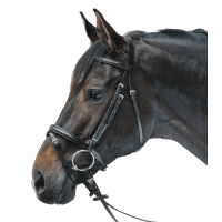 Bridon Star Lifestyle Schwarz / schwarz
