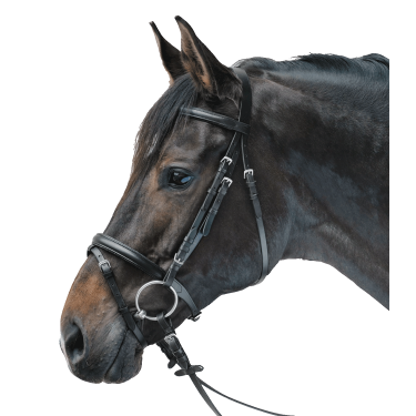 Bridon Star Lifestyle Schwarz / schwarz