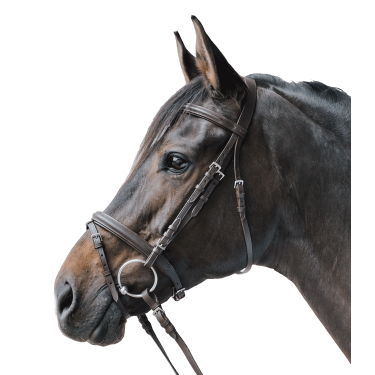 Trensenzaum fürs Reiten Star Lifestyle – Waldhausen