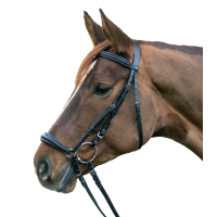 Bridon Star Hannover Schwarz
