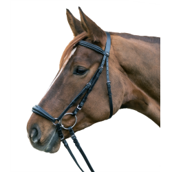 Trensenzaum Hannover für Pferde – Reitsport | Equi-Clic Trensenzaum Hannover für Pferde – Reitsport | Equi-Clic