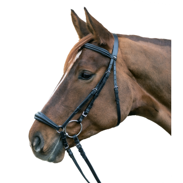 Bridon Star Hannover Schwarz
