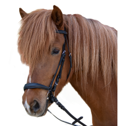 Trensenzaum Hannover für Pferde – Reitsport | Equi-Clic Trensenzaum Hannover für Pferde – Reitsport | Equi-Clic