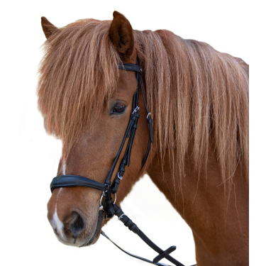 Trensenzaum Hannover für Pferde – Reitsport | Equi-Clic Trensenzaum Hannover für Pferde – Reitsport | Equi-Clic