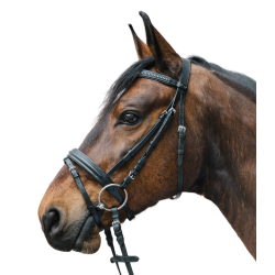Trensenzaum mit Strass – Star Diamond | Reitzubehör Trensenzaum mit Strass – Star Diamond | Reitzubehör