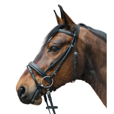 Trensenzaum mit Strass – Star Diamond | Reitzubehör Trensenzaum mit Strass – Star Diamond | Reitzubehör
