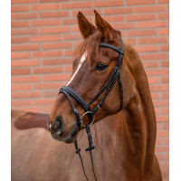 Bridon Star Diamond Schwarz Bridon Star Diamond Schwarz