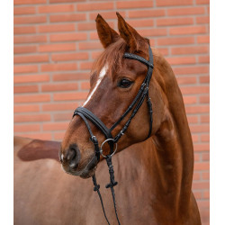 Trensenzaum mit Strass – Star Diamond | Reitzubehör Trensenzaum mit Strass – Star Diamond | Reitzubehör