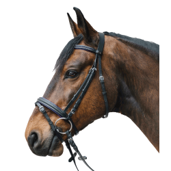 Trensenzaum mit Strass – Star Diamond | Reitzubehör