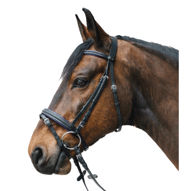 Trensenzaum mit Strass – Star Diamond | Reitzubehör