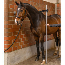 Messstab für Pferde aus Aluminium – Waldhausen | Reiten Messstab für Pferde aus Aluminium – Waldhausen | Reiten