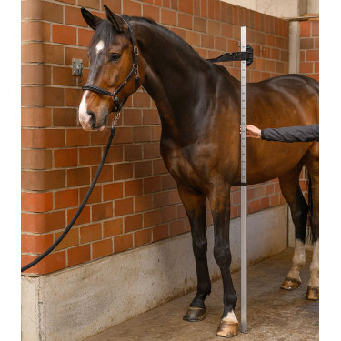 Messstab für Pferde aus Aluminium – Waldhausen | Reiten Messstab für Pferde aus Aluminium – Waldhausen | Reiten