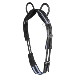 Longiergurt fürs Reiten Waldhausen, 2 Griffe | Equi-Clic