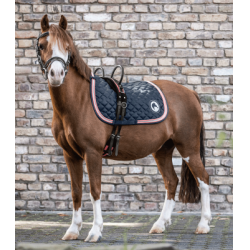 Longiergurt fürs Reiten Waldhausen, 2 Griffe | Equi-Clic