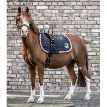 Longiergurt fürs Reiten Waldhausen, 2 Griffe | Equi-Clic