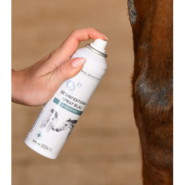 Stall-Desinfektionsspray für Reitsport 200 ml – Waldhausen