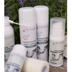 Stall-Desinfektionsspray für Reitsport 200 ml – Waldhausen