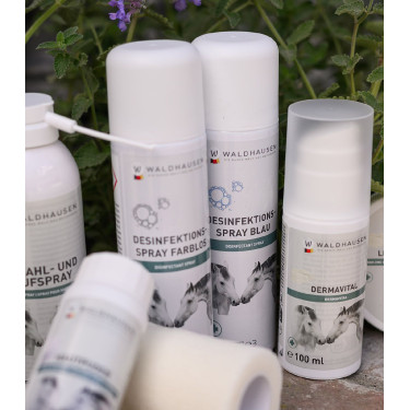 Stall-Desinfektionsspray für Reitsport 200 ml – Waldhausen