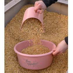 Waldhausen Futter-Schaufel 2L – Reitsport Zubehör