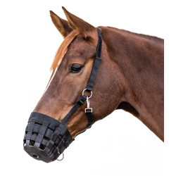 Weidekorb für Pferde Waldhausen – Equitation Zubehör