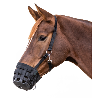 Weidekorb für Pferde Waldhausen – Equitation Zubehör
