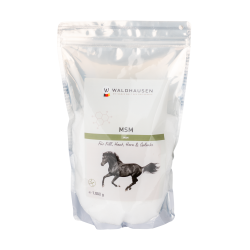 MSM Pferdeergänzung – Gelenke, Fell & Hufe | Equi-Clic