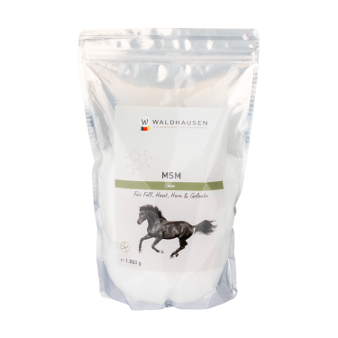 MSM Pferdeergänzung – Gelenke, Fell & Hufe | Equi-Clic