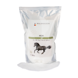 MSM Pferdeergänzung – Gelenke, Fell & Hufe | Equi-Clic