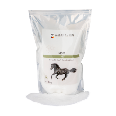 MSM Pferdeergänzung – Gelenke, Fell & Hufe | Equi-Clic