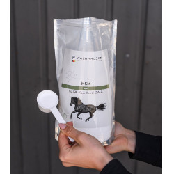 MSM Pferdeergänzung – Gelenke, Fell & Hufe | Equi-Clic