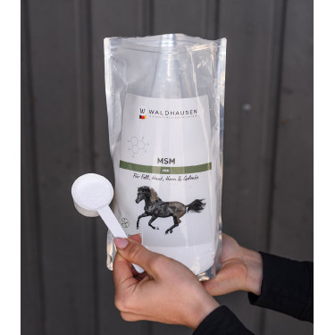 MSM Pferdeergänzung – Gelenke, Fell & Hufe | Equi-Clic