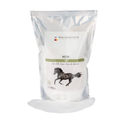 MSM Pferdeergänzung – Gelenke, Fell & Hufe | Equi-Clic