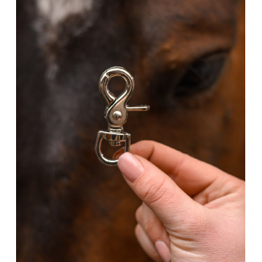 Karabiner für Flaschenzug – Reitzubehör | EQUI-CLIC