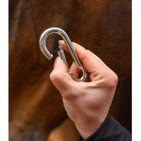 Mousqueton Waldhausen Grau
