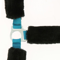 Norton Halfter Full synthetisches Lammfell Elektrischblau / Schwarz