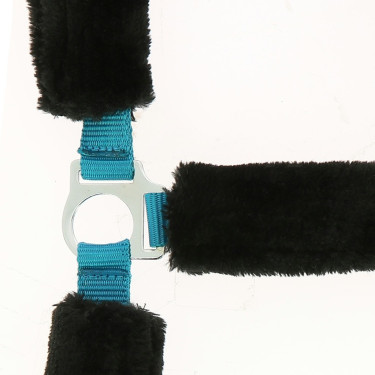 Norton Halfter Full synthetisches Lammfell Elektrischblau / Schwarz