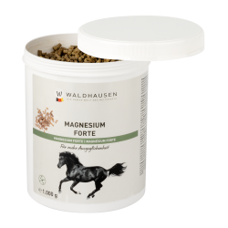 Magnesium-Ergänzungsfutter fürs Pferd – Waldhausen