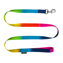 Reitlonge Regenbogen Waldhausen – bunte Führleine
