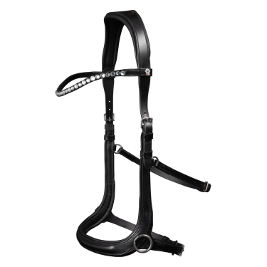 Gebisslose Reithalfter Waldhausen X-Line – Reiten