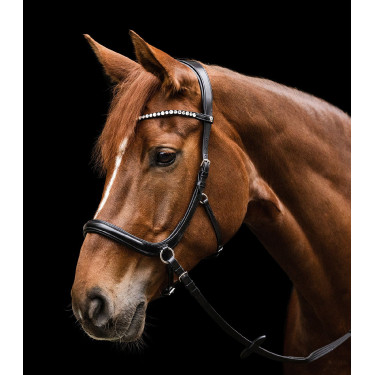Gebisslose Reithalfter Waldhausen X-Line – Reiten