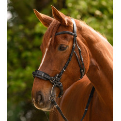 Hackamore Trense Waldhausen X-Line – Reitzubehör