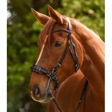 Hackamore Trense Waldhausen X-Line – Reitzubehör