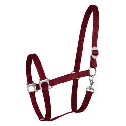 Waldhausen Perlon Halfter – weiches Reithalfter