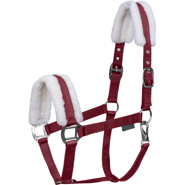 Waldhausen Halfter First – Reithalfter mit Fellpolster Waldhausen Halfter First – Reithalfter mit Fellpolster