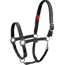 Sicherheits-Halfter für Pferde Waldhausen – Reitsport
