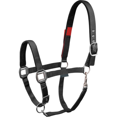 Sicherheits-Halfter für Pferde Waldhausen – Reitsport